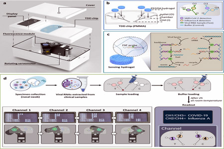 SARS-CoV-2 and influenza A virus