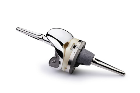 Persona Revision Knee System 