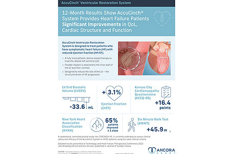 Cardiac Structure and Function