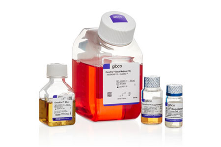 OncoPro Tumoroid Culture