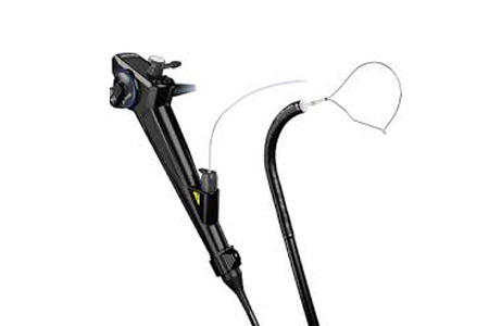 diagnostic and therapeutic bronchoscopes